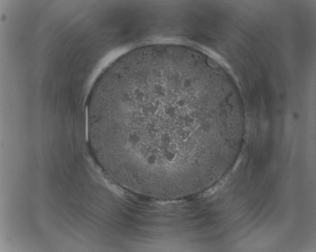 X0000067911223200604271909