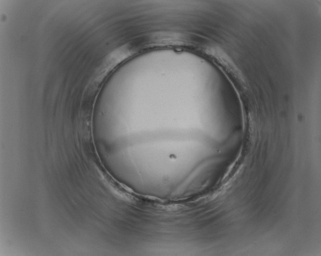 X0000067911225200604271909