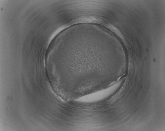 X0000067911226200604271909