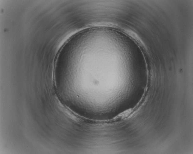 X0000067911228200604271909