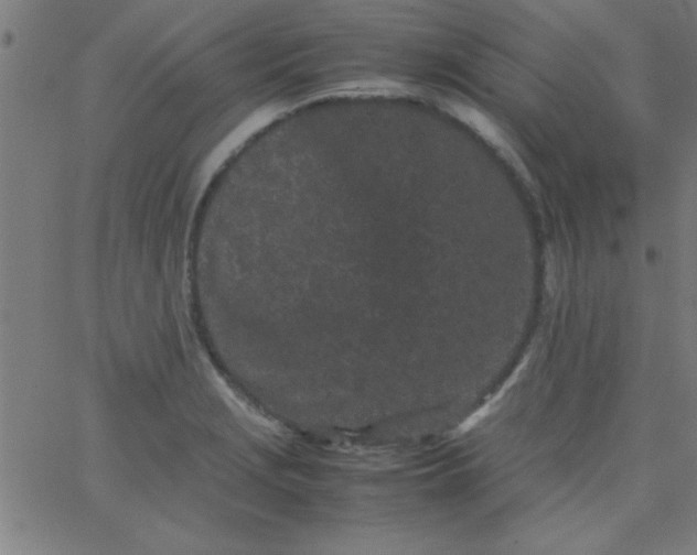 X0000067911229200604271909