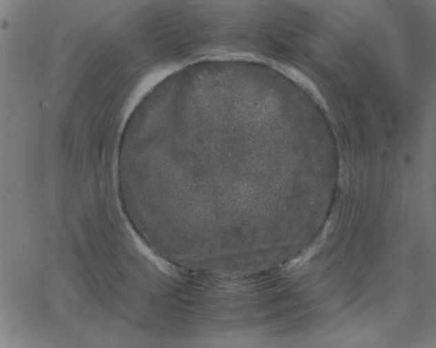 X0000067911231200604271909