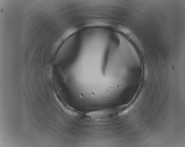 X0000067911233200604271909