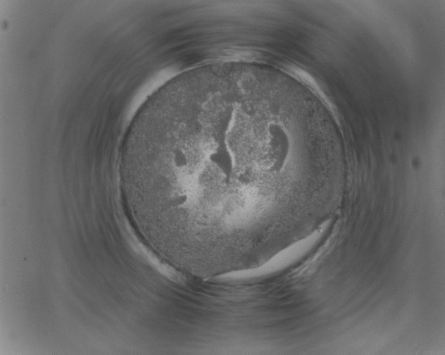 X0000067911235200604271909