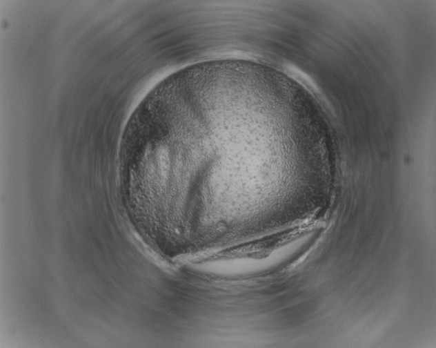 X0000067911236200604271909