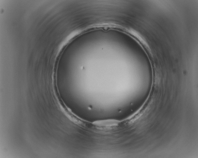 X0000067911237200604271909