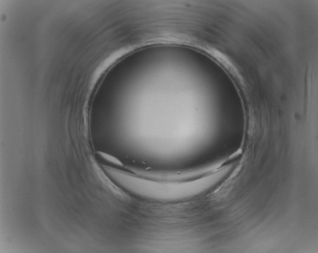 X0000067911238200604271909