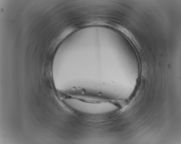 X0000067911241200604271909