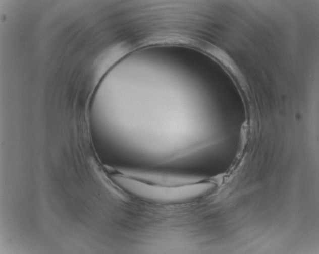 X0000067911242200604271910