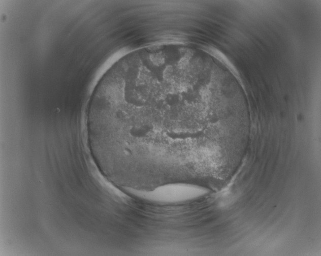 X0000067911243200604271910