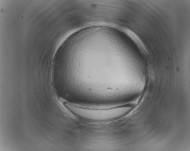 X0000067911244200604271910