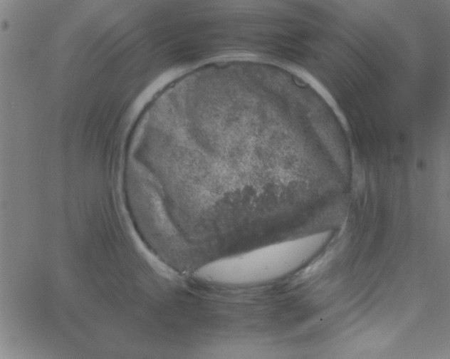 X0000067911245200604271910