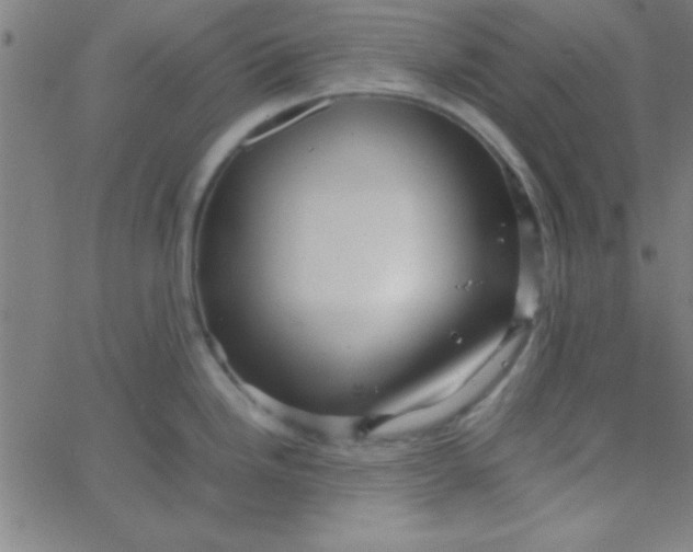 X0000067911246200604271910