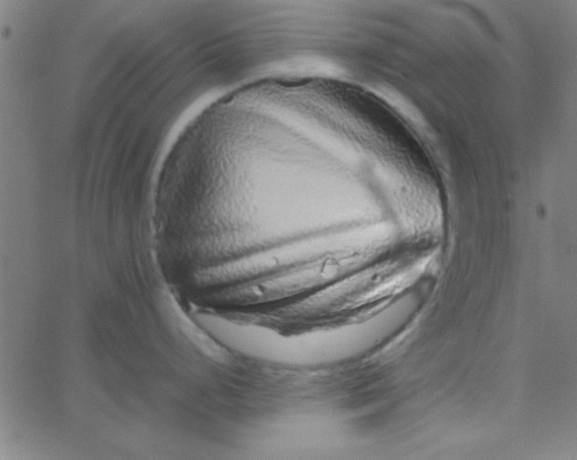 X0000067911248200604271910