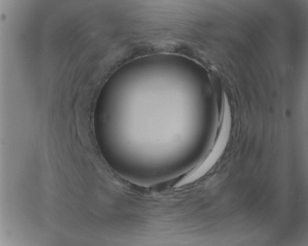 X0000067911249200604271909