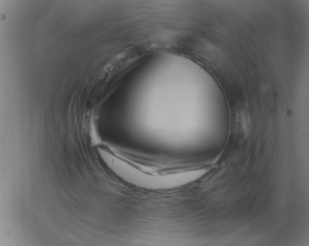 X0000067911250200604271909