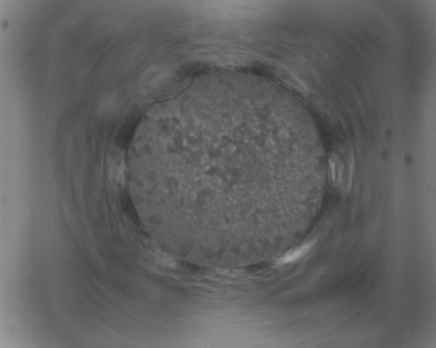 X0000067911251200604271909