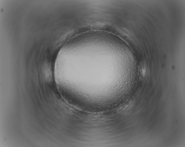 X0000067911252200604271909