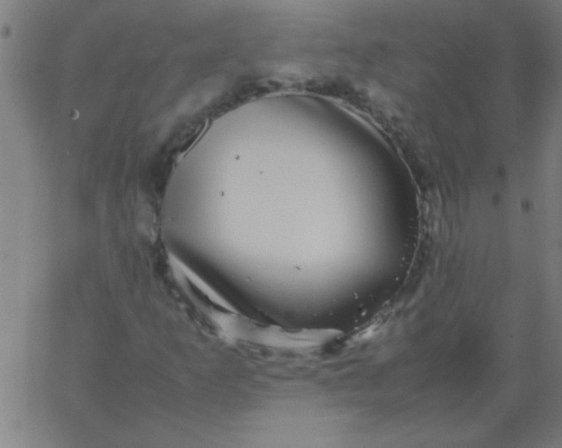 X0000067911253200604271909