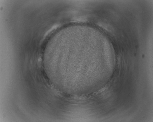 X0000067911254200604271909