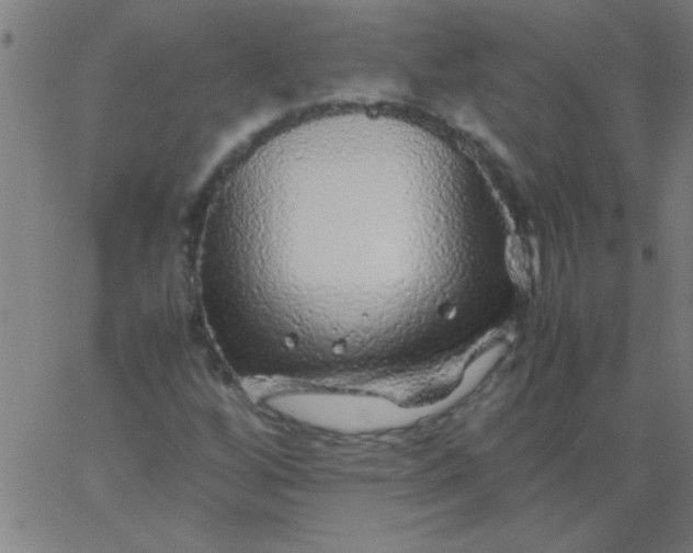 X0000067911256200604271909