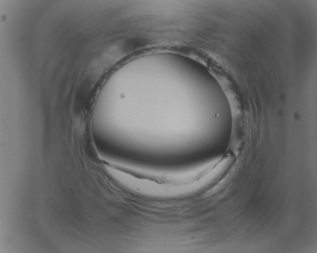 X0000067911257200604271909