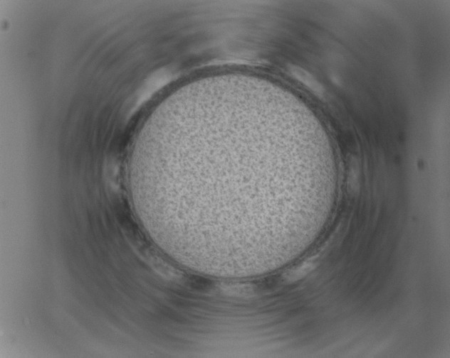 X0000067911258200604271909