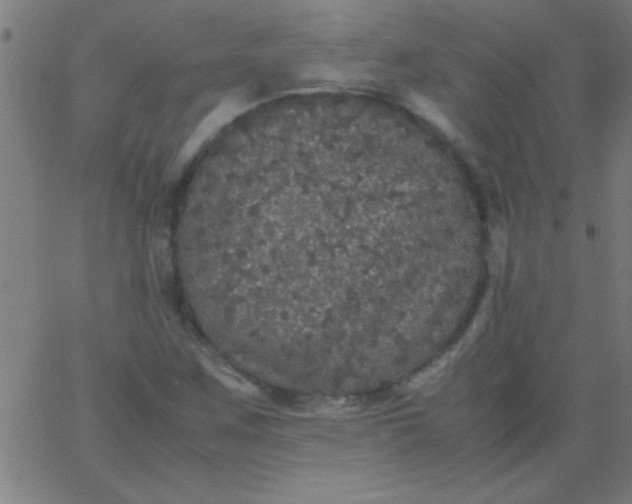 X0000067911259200604271909