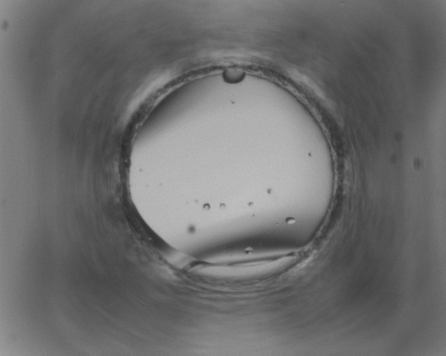 X0000067911261200604271909