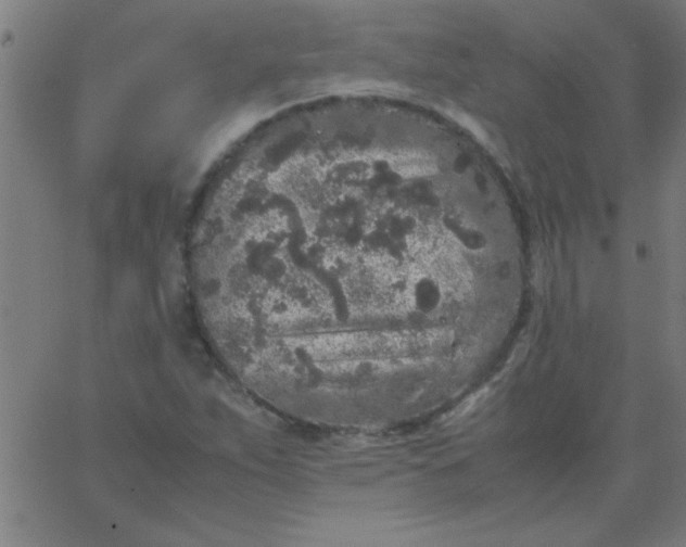 X0000067911263200604271909