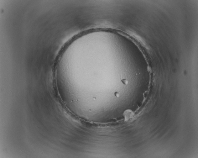 X0000067911264200604271909