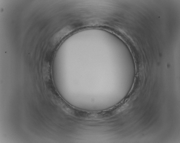 X0000067911265200604271909