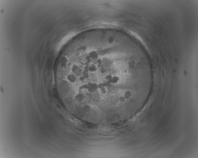 X0000067911267200604271909