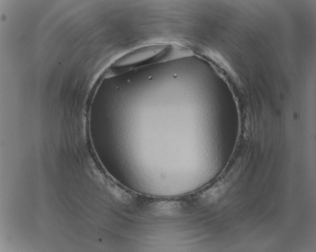 X0000067911268200604271909