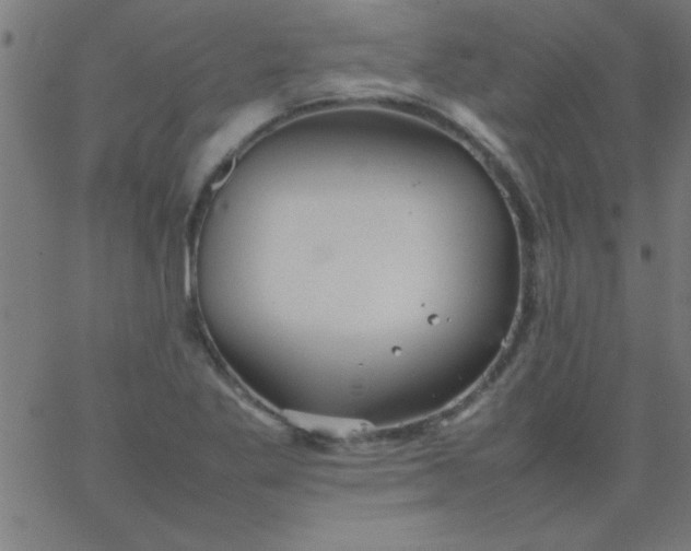 X0000067911269200604271908