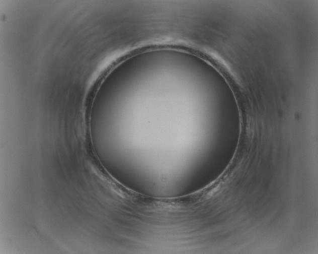 X0000067911270200604271908