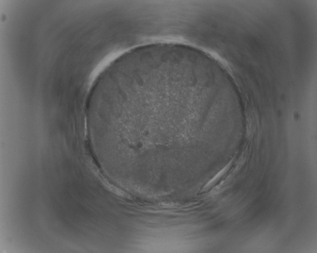 X0000067911271200604271908