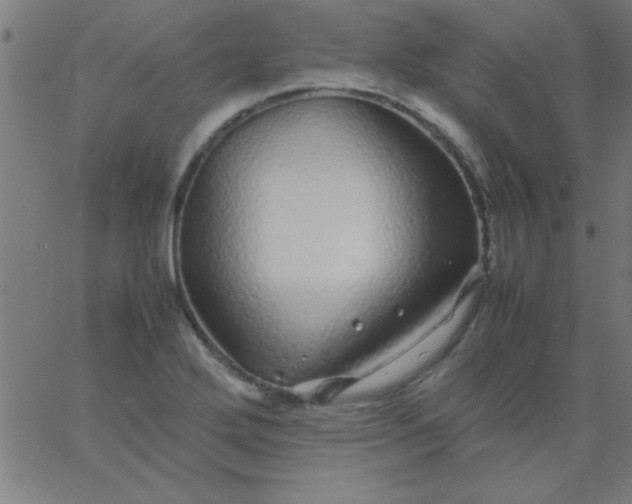 X0000067911272200604271908