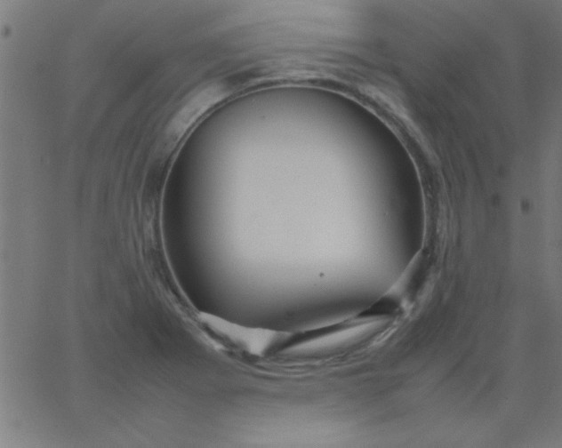 X0000067911273200604271908