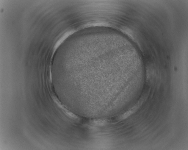 X0000067911274200604271908