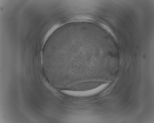 X0000067911275200604271908