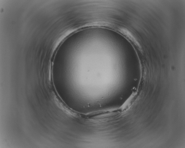 X0000067911276200604271908