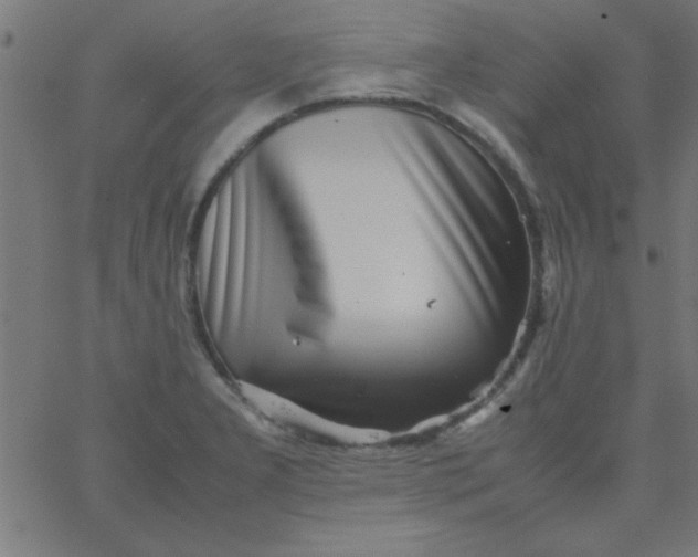 X0000067911277200604271908