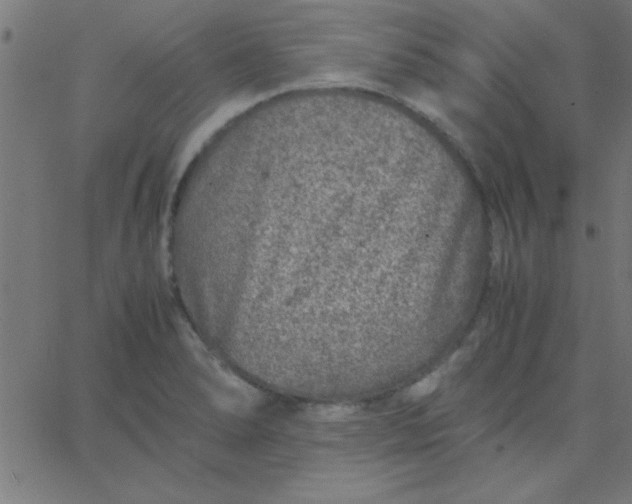 X0000067911278200604271908