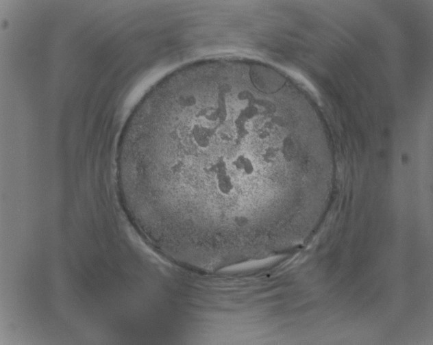 X0000067911279200604271908