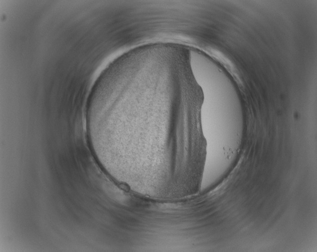 X0000067911280200604271908