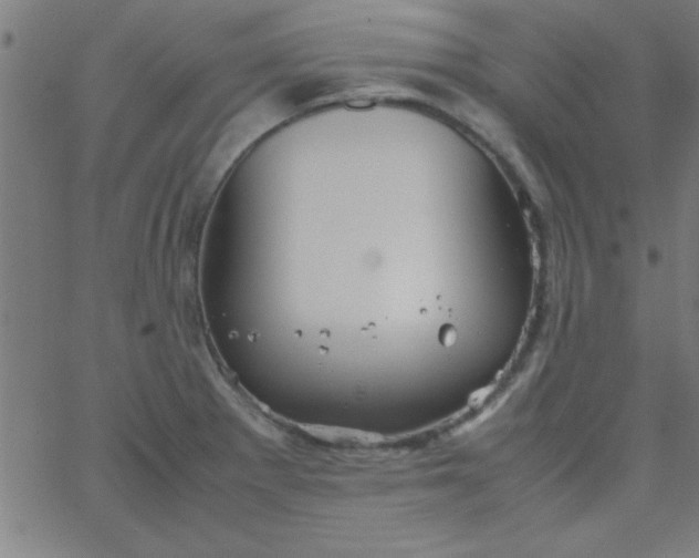 X0000067911281200604271908