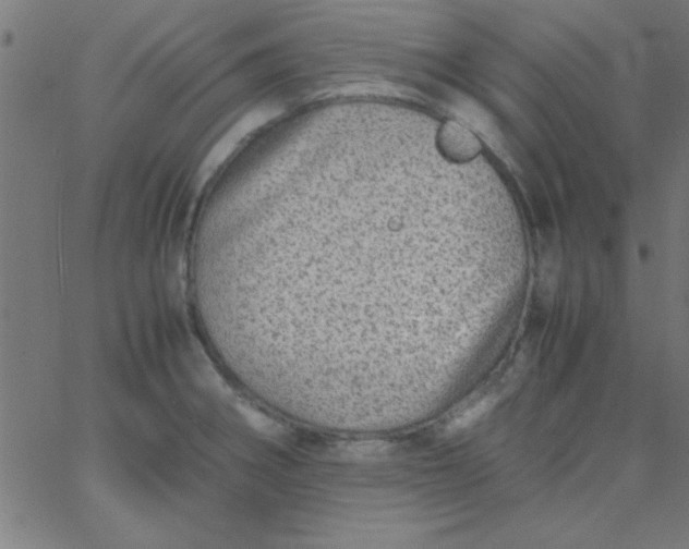 X0000067911282200604271908