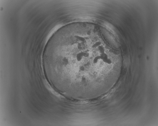 X0000067911283200604271908