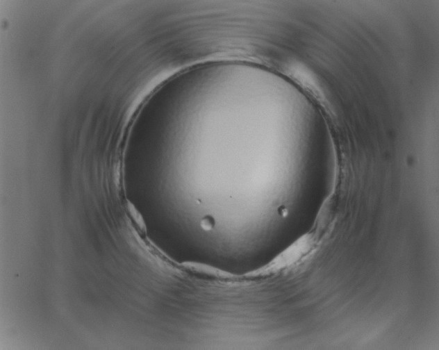 X0000067911284200604271908